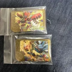 ポケモンフレンダベストタッグ5弾スーパートレジャーレガシールカリオ、ハッサム