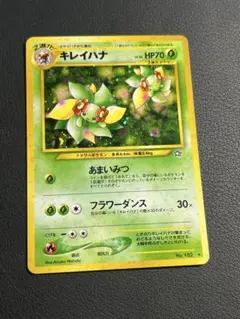 2026年最新】キレイハナ 旧の人気アイテム - メルカリ