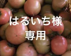 はるいち様　専用