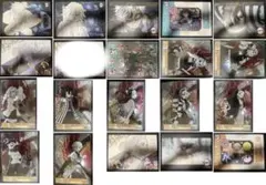 鬼滅の刃 ランチョンマットなど19枚セット　冨岡義勇　時透無一郎