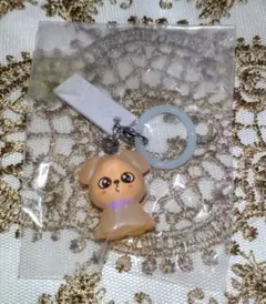 スキズ　パピーム　skzooめじるしアクセサリー※カプセル＆ミニブックなし。