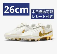 Ronaldinho × Nike Tiempo Legend 26cm