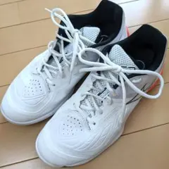 Item thumbnail for item d428c805-ed90-49dd-9bf9-9ba474d5aba7