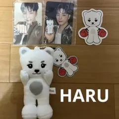 harubear ハルベア★NEXZ Beat-Boxer NEXZOOver