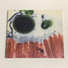 Plastic Tree cell.