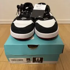 NIKE SB アリウープ 新品 29.0cm