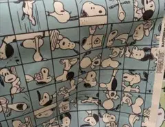 スヌーピー　ブロック　いっぱい　生地　オックス　水色　55×50　ピーナッツ