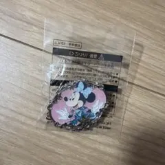 ディズニーシー アブーズバザール 25周年 ミニーマウス ピンバッジ