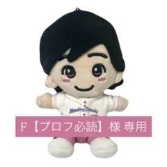 F【プロフ必読】様専用
