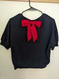 ブルーレーベルクレストブリッジ　三陽商会　サマーニット　 Vネック