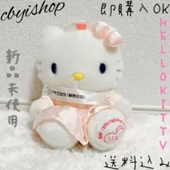 ナースキティ 看護の日 オリジナル ぬいぐるみ 専用箱付き 激レア ハローキティ ナースキティ 2009年 看護の日 オリジナル