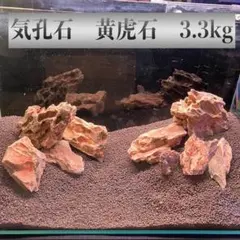 2026年最新】黄虎石の人気アイテム - メルカリ