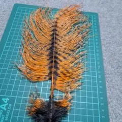 Item thumbnail for item 331bf1ba-ab2e-4618-a9b6-2c2ee24da22e