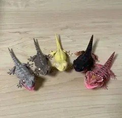 ぱるる様 リクエスト 2点 まとめ商品