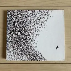 Wilco / Sky Blue Sky CD