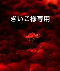 きいこ様専用