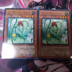 Item thumbnail for item 2ed33905-0594-42fd-be0c-f1403f91ea28