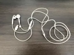 Apple純正イヤホン ライトニングイヤホン