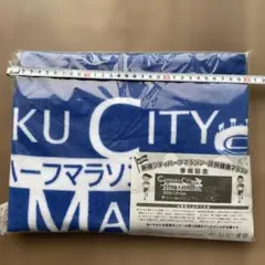 Item thumbnail for item 5239ed11-8866-4f13-b1d6-3d96a401d060