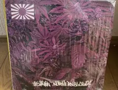 2026年最新】northernblueの人気アイテム - メルカリ