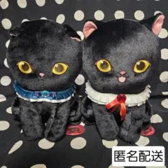 mofusand　モフサンド★ 黒仔猫にゃん BIGぬいぐるみ 全２種　タイトー