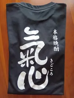 Item thumbnail for item 0380878c-80b1-4ef8-b620-0694e64d3c23