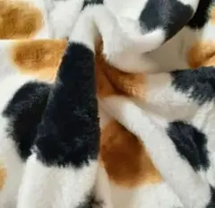 Item thumbnail for item 21a82353-cefc-4686-b712-60e7f3121631