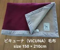 2025年最新】ビキューナ 毛布の人気アイテム - メルカリ