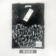 Item thumbnail for item 541be64b-f57e-45d2-9724-ac5aaf9e0411