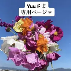 yuu様専用ページ