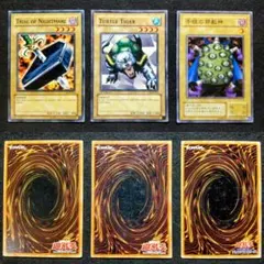 タートルタイガー