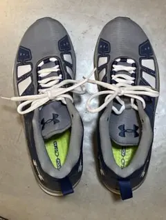 Item thumbnail for item 4842ff45-c834-416c-802a-4ceedd664199