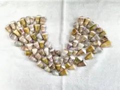 天然貝殻 イモ貝アソート大量セット ハンドメイド レジン 工作用 NO37