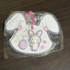 サンリオキャラクターズ パッケージチャーム　ウィッシュミーメル