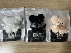 StrayKids スキズ RUN IT マイクロ パピム3種 - メルカリ