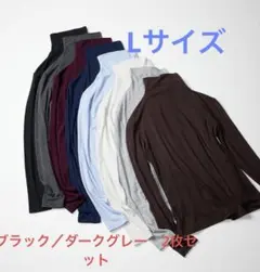 極暖ヒートテックカシミヤブレンドタートルネックT