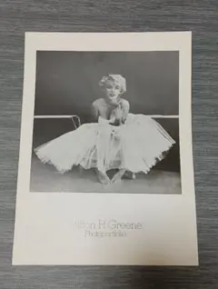 Item thumbnail for item f0ea2438-60cb-4544-918c-accf09f6566b