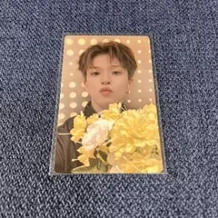 TREASURE pleasure popup ラキドロ　トレカ　アサヒ