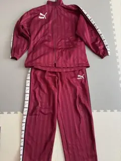 Item thumbnail for item fd3cf0cf-5f1e-4ef2-8c78-1d9b20bea7fe