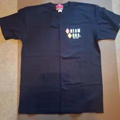 Item thumbnail for item eac5856d-d9e2-43e0-bd91-deedbe9ca6b5