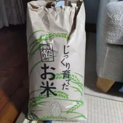 コシヒカリ 新米 令和8年 白米 精米 お米 40キロ 40kg - メルカリ