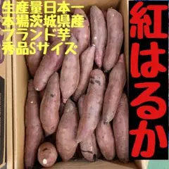 紅はるか　正規品Sサイズ10キロ　さつまいも　減農薬　茨城