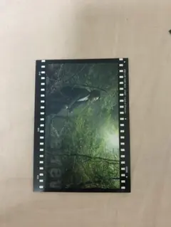 STARS 山下健二郎 フォトカード