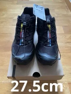 Item thumbnail for item 249dc8d9-06d2-4945-95a0-10b95cda9ed2