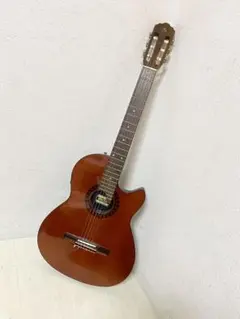 Groovin' by Morris モーリス TG-60 ソリッドエレガット - メルカリ