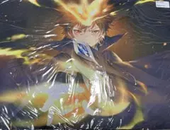 家庭教師ヒットマンrebornリボーン プレイマット 沢田綱吉