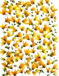 Item thumbnail for item cd525e27-b722-4c4e-8e37-6d7d71b6f5c5