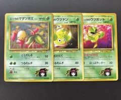 エリカのマダツボミ ポケモンジム第2弾 タマムシシティジム エリカ