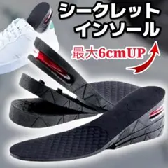 シークレットインソール 6cmアップ 身長 盛れる 中敷き 衝撃吸収2401