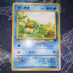 ゼニガメ イントロパック
